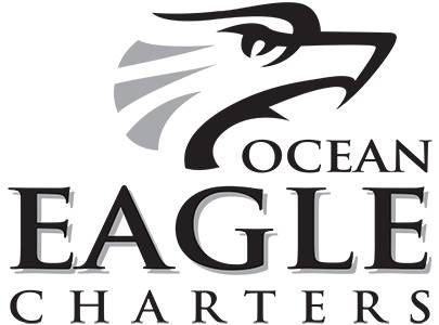 Ocean eagle logo
